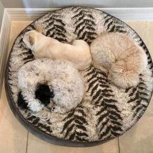 Meet your Posher, Tiffany james